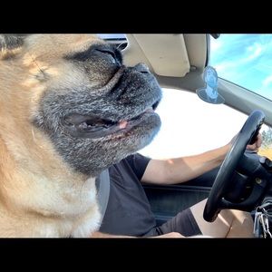 Meet your Posher, Catherine